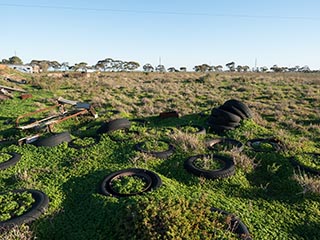 old tyres and junk in field