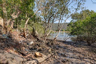 Garbage on the shore of Mullet Creek near Wondabyne, Australia