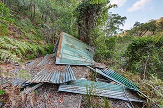 Collapsed corrugated iron shack in bush near Wondabyne, Australia