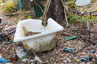 Old bathtub dumped in the bush near Wondabyne, Australia