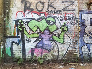 Graffiti in Abandoned Tooth & Co Maltings, Mittagong