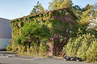 House covered in vines, Kanagawa Prefecture, Japan