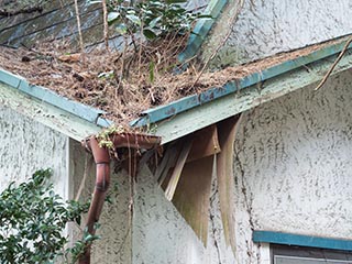 Decaying cottage roof at Car Hotel Mangetsu