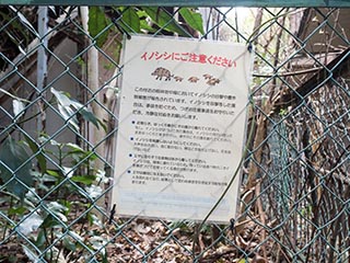 Wild pig warning sign, Kanagawa Prefecture, Japan