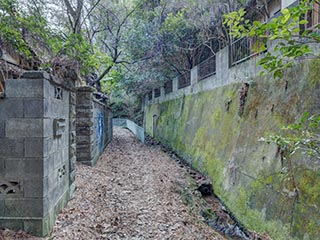 Laneway in abandoned neighbourhood