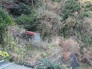 Abandoned garden, Kanagawa Prefecture, Japan
