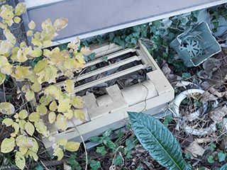 Printer outside abandoned Japanese house