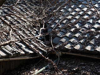 Sagging roof of abandoned house