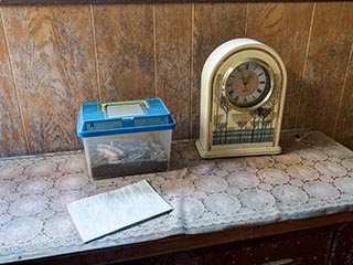 Clock and pet beetle box in abandoned Japanese house