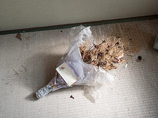 Dried out bouquet in abandoned apartment