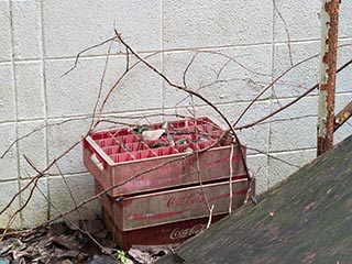 Coca Cola crates lying outside Hotel Bluebird
