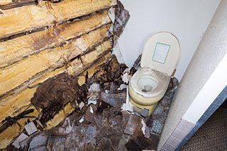 Abandoned Love Hotel Cosmo Capsule Toilet