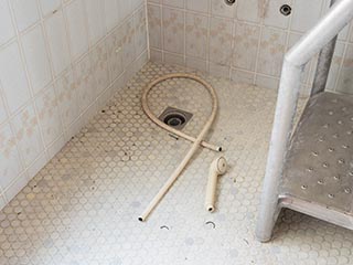 Cut shower hose in Hotel Gaia