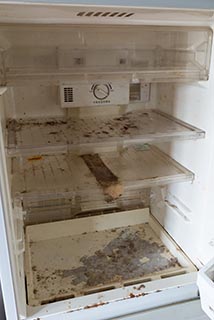 Abandoned Love Hotel Noa Filthy Refrigerator