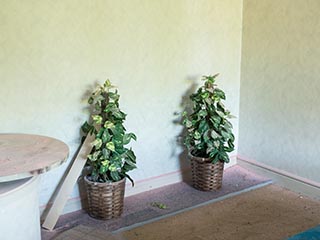 Artificial plants in Hotel Penguin Village
