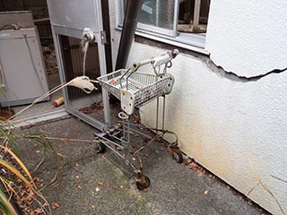 Old shopping cart in Hotel Penguin Village