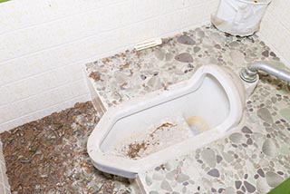 Abandoned Love Hotel Sekitei Toilet