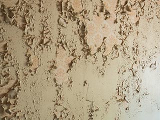 Paint peeling from wall