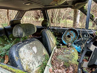 Mossy interior of abandoned Mazda