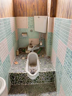 Toilet of Abandoned Book and Video Store in Murayama, Japan