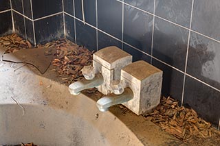 Queen Château Soapland bath taps