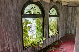 Queen Château Soapland Ivy Covered Windows