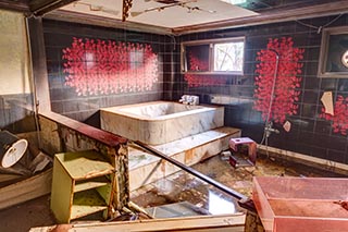 Queen Château Soapland Flooded guest room