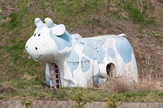Abandoned Cow Shaped Building