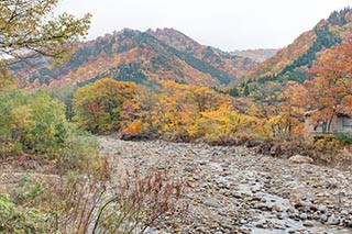 River and Autumn Leaves, Akita Prefecture, Japan