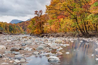 River and Autumn Leaves, Akita Prefecture, Japan