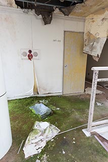 Moss Growing in Corridor of Abandoned Sun Park Hotel
