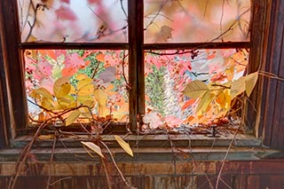 Abandoned Tamura Iron Manufacturing Office Window