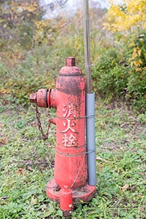Abandoned Tamura Iron Manufacturing Fire Hydrant