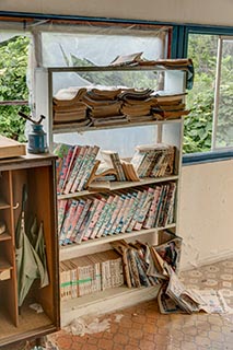 Bookcase in Abandoned Minshuku