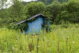 Abandoned Shed in Hokkaido, Japan