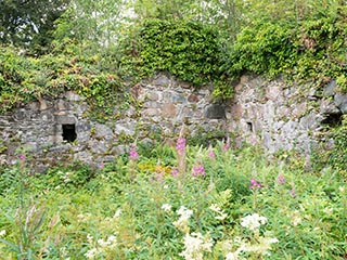 Fraoch Eilean Castle, Loch Awe, Scotland