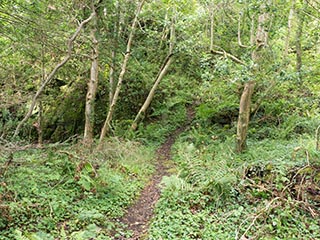 path to Fraoch Eilean Castle