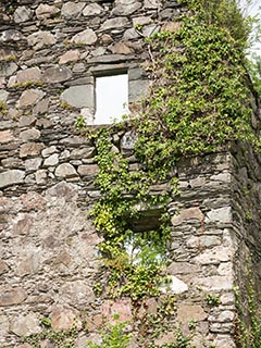 Fraoch Eilean Castle, Loch Awe, Scotland