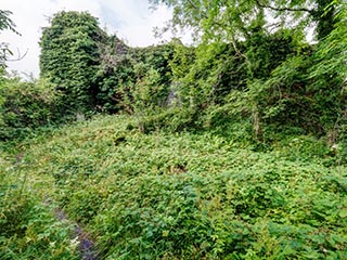landward side of Innis Chonnel Castle