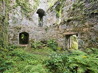 interior of ruined tower