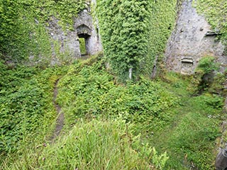 courtyard of Innis Chonnel Castle