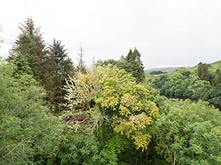 view from battlements of Innis Chonnel Castle
