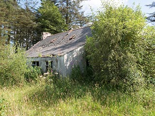 rear of abandoned house