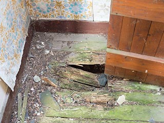 rotting, collapsing floorboards
