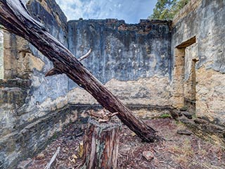 Fallen tree inside Fretus Hotel