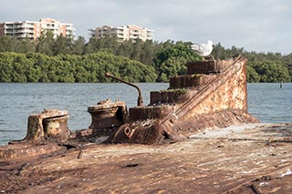 stump of net-handling boom