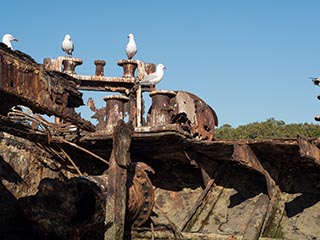 Wreck of SS Mortlake Bank, Homebush Bay, Sydney, Australia