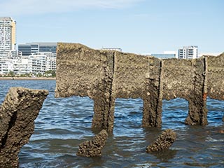 Wreck of SS Mortlake Bank, Homebush Bay, Sydney, Australia