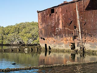 wreck of SS Ayrfield, Homebush Bay, Sydney, Australia