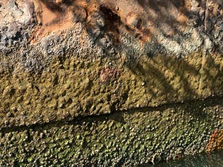 wreck of SS Ayrfield, Homebush Bay, Sydney, Australia